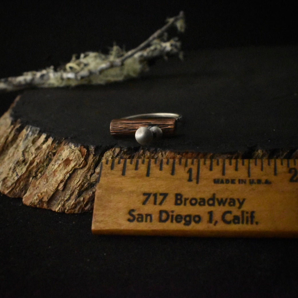 The Mushrooms on a Log Ring with a ruler for scale, measuring around 3/4 inches wide.