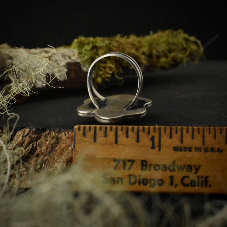 The underside of the Crazy Lace Agate Wiggle Ring with a ruler for scale, measuring around 1 inch wide.