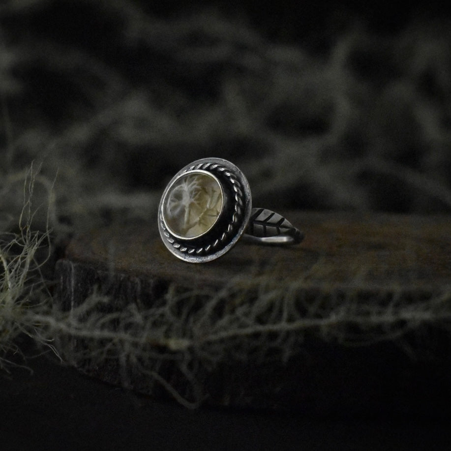 A handmade sterling silver statement ring, with a setting of real lichen preserved in clear resin.