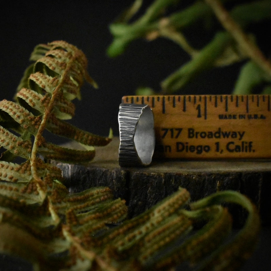 The Wide Tapered Bark Ring with a ruler for scale, its band measuring around 3/8 inches at the widest.