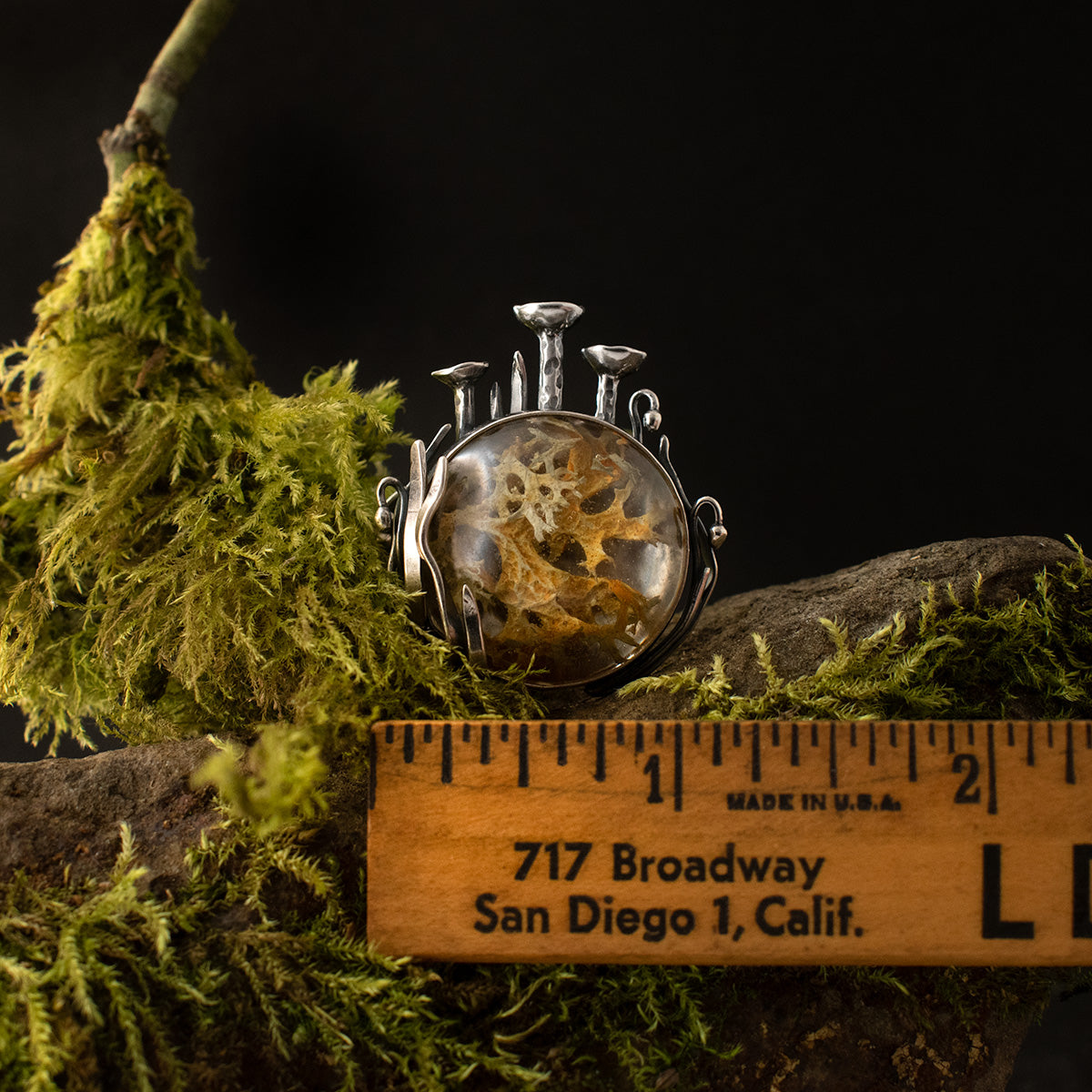The Lichen Love Brooch with a ruler for scale, measuring around 1 and 1/4 inches wide overall.