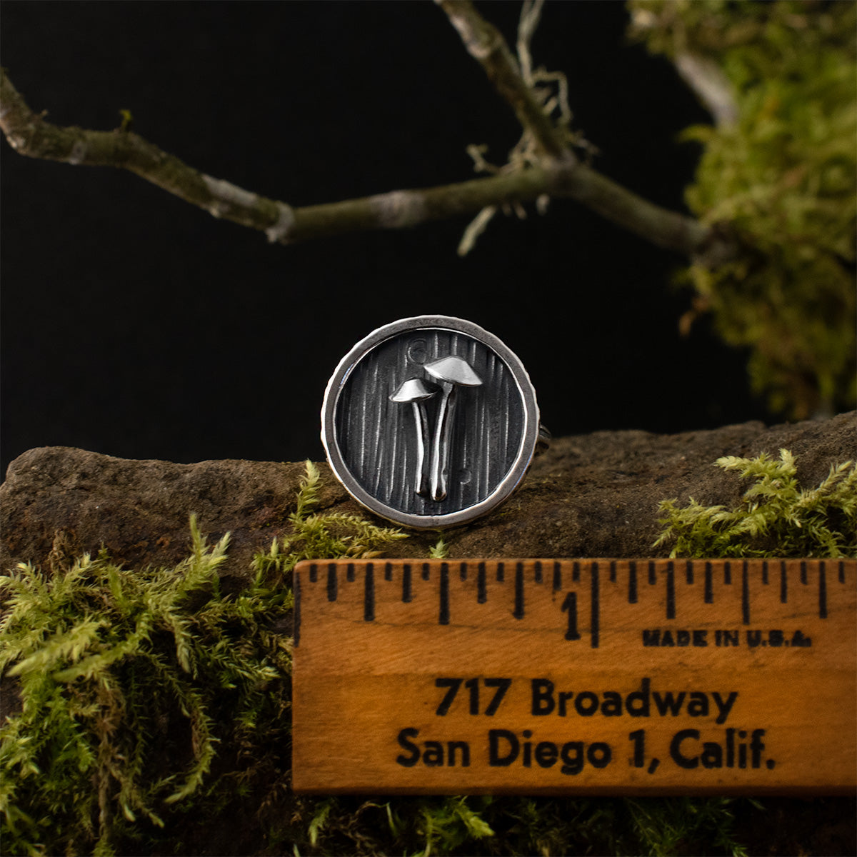The Mycena Duo Shadow Box Ring with a ruler for scale, measuring around 3/4 inches wide.