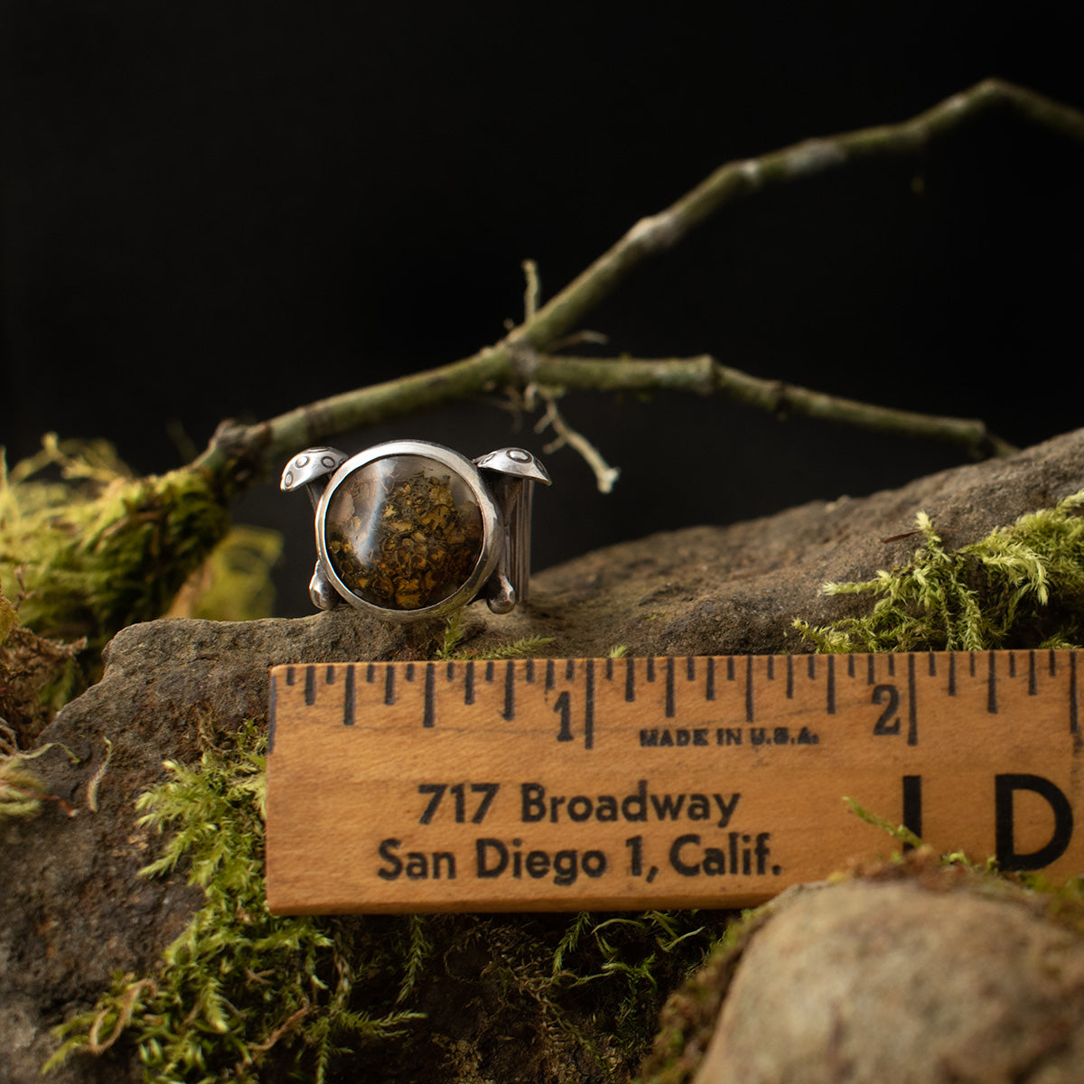 The Real Lichen Double Toadstool Ring with a ruler for scale, measuring around 1 inch wide overall.